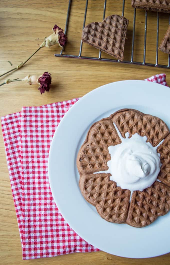 Chocolate Oat Waffles | mygutfeeling.eu #vegan #glutenfree #lowfodmap