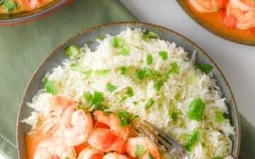 moqueca de camarão com arroz vista de cima